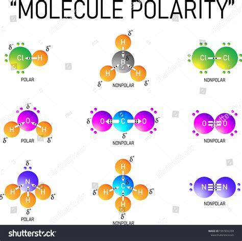 410 Nonpolar Images, Stock Photos, and Vectors | Shutterstock