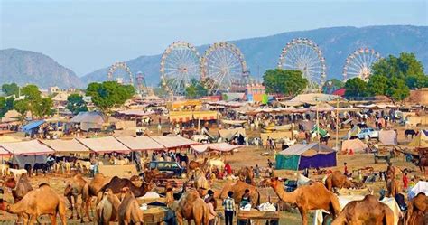 Famous Pushkar Fair | Luxury resort, Palace tour, Tourist