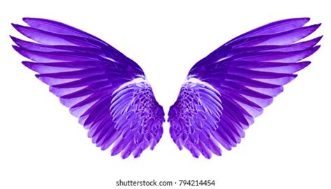 Acrylic PURPLE WINGS Art & Collectibles Painting etna.com.pe