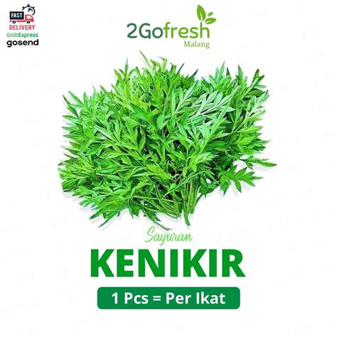 Jual Sayur Daun Kenikir/ Fresh - Sayuran | Shopee Indonesia