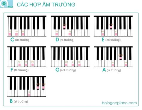 Ghim trên chords n lyrics