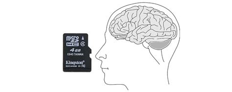 How Many Memory Cards ‘Equal’ The Memory Capacity Of The Human Brain ...