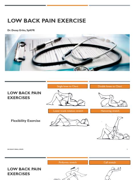 Low Back Pain Exercise | PDF | Pelvis | Joints