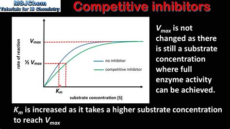 B.7 Competitive and non-competitive inhibitors (HL) - YouTube