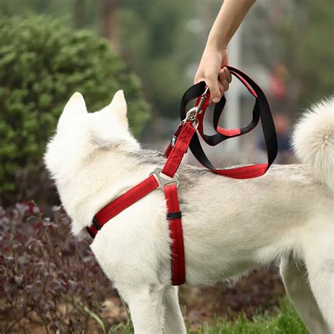 2018 Hot Sale Large Dogs Most Comfortable Leash Lead Sports Walking H ...