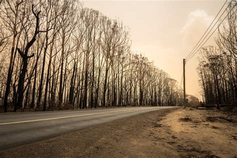 How heatwaves and drought combine to produce the perfect firestorm