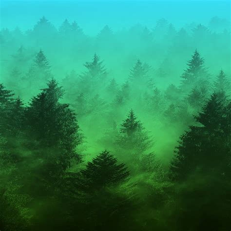 Green pine trees painting, forest, trees HD wallpaper | Wallpaper Flare