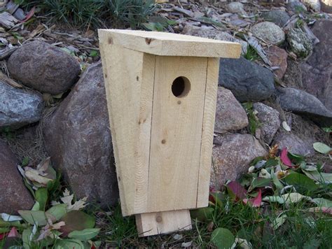 Birdhouse Kit Bluebird Bird House Peterson Style Natural Cedar | Etsy