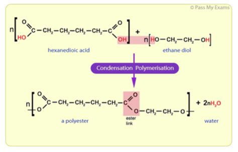 Condensation Polymerisation (GCSE Chemistry) - Study Mind