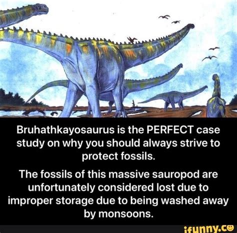 Bruhathkayosaurus Fossils