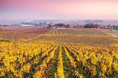 Beaune and the Burgundy Wine Region of France