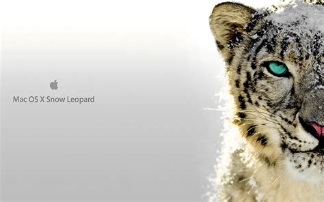 Mac Os X Snow Leopard Wallpaper Hd - WallpaperSafari