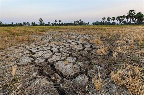 LAND DEGRADATION