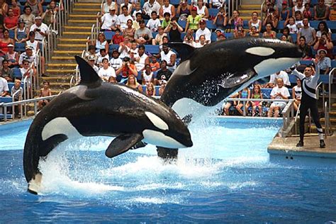 Orlando: Yearwood, McBride cancel SeaWorld concerts - Newstalk Florida