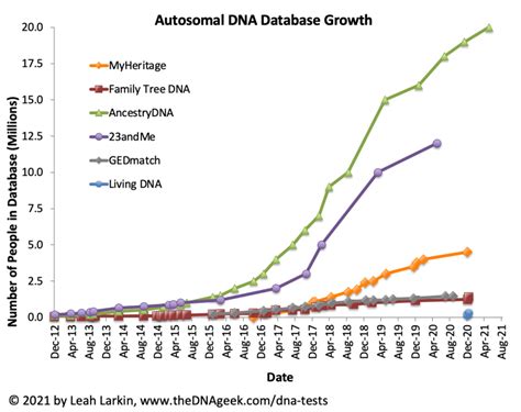 Everything You Should Know About DNA Test and Genetic Testing