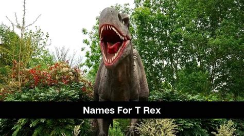 Best 90 Names For T Rex That You Will Love - eAstroHelp