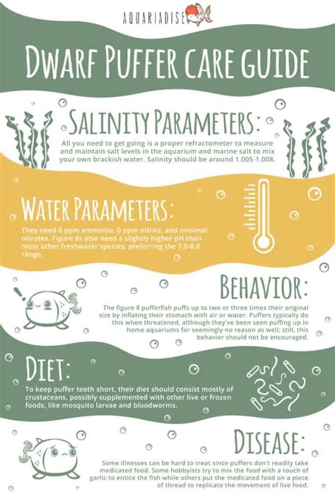 Figure 8 Puffer: A Complete Profile And Care Guide