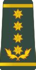 Georgian military ranks - Wikipedia