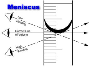 Meniscus Measurement | Hot Sex Picture