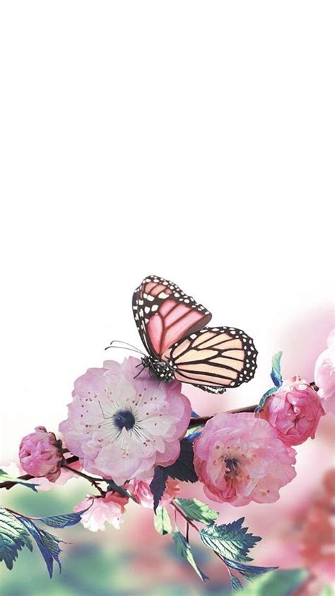 Butterfly, cute, flowers, nature, pink, pretty, HD phone wallpaper | Peakpx