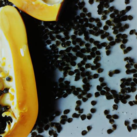 Eating Papaya Seeds: A Comprehensive Guide to Incorporating Papaya ...