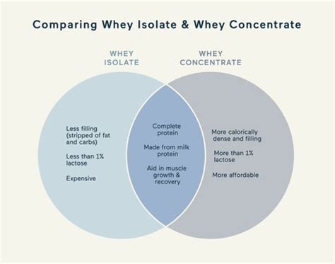 Whey Protein Isolate vs. Concentrate: How To Choose | mindbodygreen