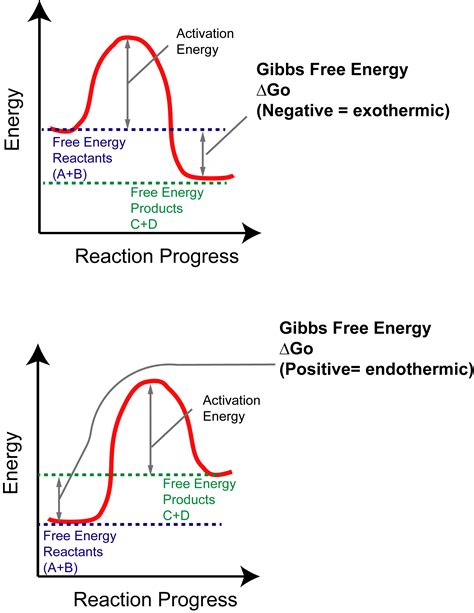 Organic Chemistry Help Tools