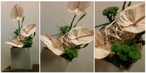 Florist in Rome: Anthurium Modern Arrangement