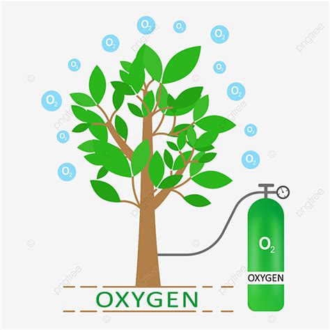 Capture Vector PNG Images, Capture Oxygen From Tree, Oxygen, Medical, O2 PNG Image For Free Download