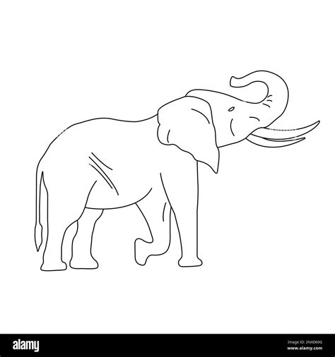 Simple linear illustration of an African elephant. Drawing for children's coloring. Tropical ...