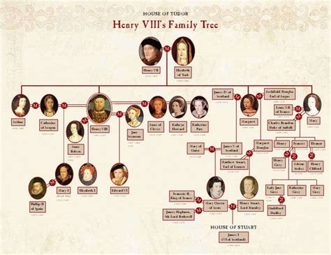 Tudor Family Tree | Tudors | Pinterest | Tudor, Family Trees and Trees