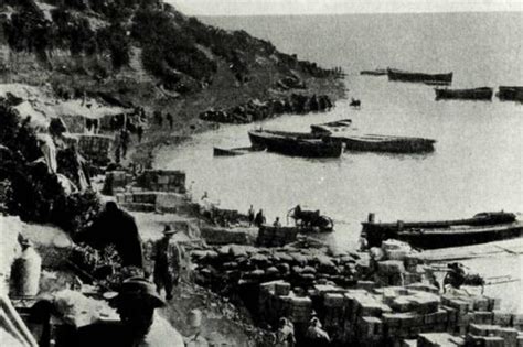 The Gallipoli landing | The Times