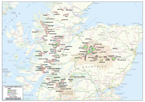 The Caledonian Forest | Trees for Life | Tree of life, Forest, Scotland map