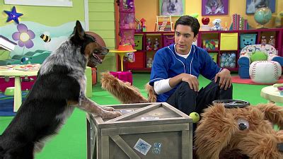 Mutt & Stuff Season 2 Episodes