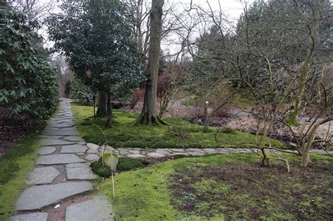 Gothenburg Botanical Garden (Botaniska Trädgården) - One of the Largest ...