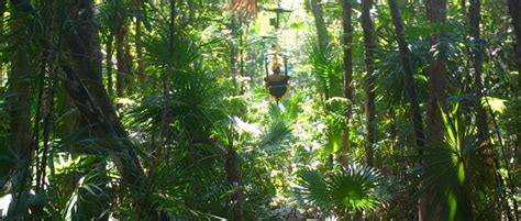 Have you biked through the tree tops? See nature in a new way ...