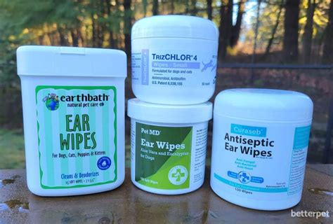 The best ear wipes for dogs, according to a vet - betterpet