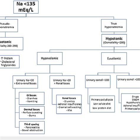 Flowchart For Diagnosing Hyponatremia Iv Intravenous Na Sodium Sexiz Pix | My XXX Hot Girl