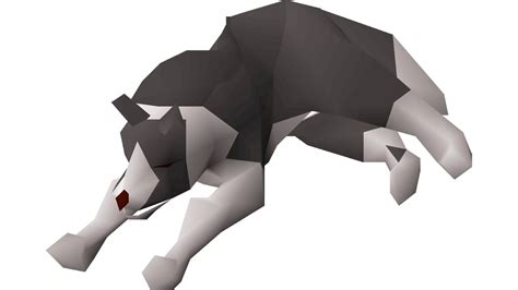 Pet the Museum Camp Dog OSRS