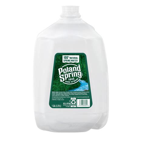 Buy Poland Spring, Spring Water, 1 Gallon Jug Online at desertcartINDIA