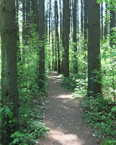 Oak Openings Metropark Hiking Trail – BackpackOhio.com