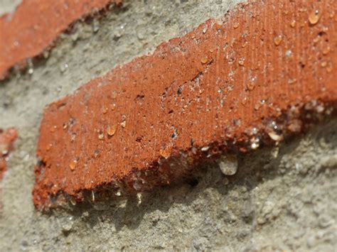 Emperor Paint | Everything You Need To Know About Brick Sealers