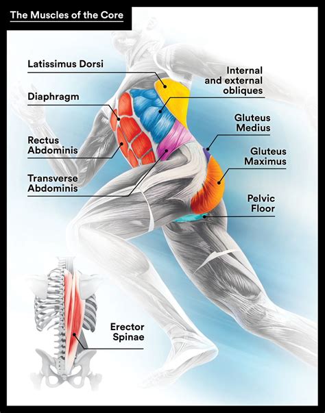 Core Stability Exercises for Runners: Why You Need Core Stability