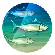 Fish (Civ5) | Civilization Wiki | Fandom