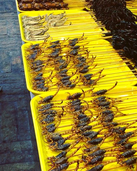 The selection of creatures on offer at the Wangfujing (Bug) Market, Beijing Unesco World ...