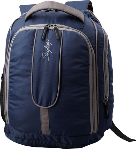 Skybags Backpack Blue - Price in India | Flipkart.com