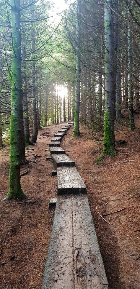 The Wicklow Way - 2019 All You Need to Know BEFORE You Go (with Photos) - TripAdvisor