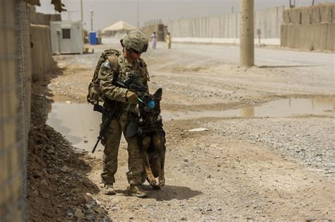 Dog handler's homegrown values, environment mirror her K-9 career | Article | The United States Army