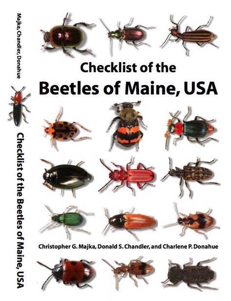 Recently Published: Checklist of the Beetles of Maine, USA - BugGuide.Net