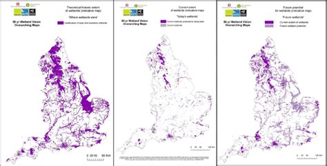 Maps produced by the Wetland Vision Project, showing a. Historic extent... | Download Scientific ...